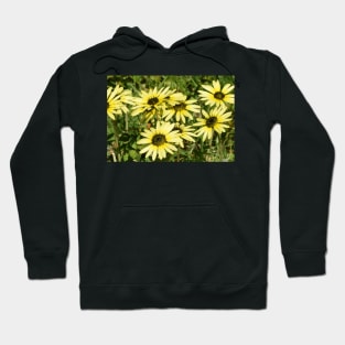 Yellow Daisy Flowers Hoodie